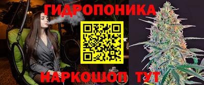 Альфа ПВП Гусев