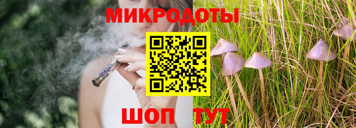 Галлюциногенные грибы мухоморы Новороссийск